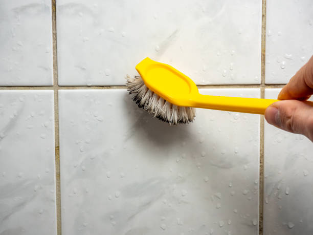 Mold Removal Process in Greenbrier, TN