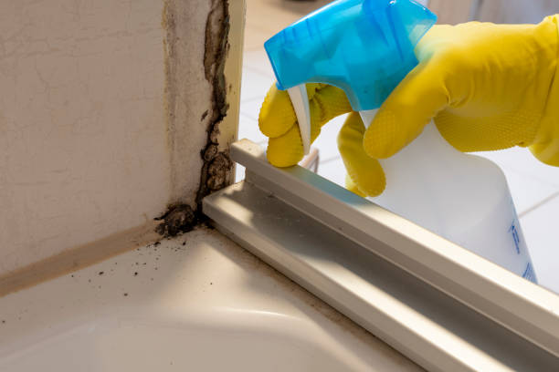Best Residential Mold Removal  in Greenbrier, TN