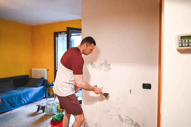 Best Emergency Mold Removal  in Greenbrier, TN